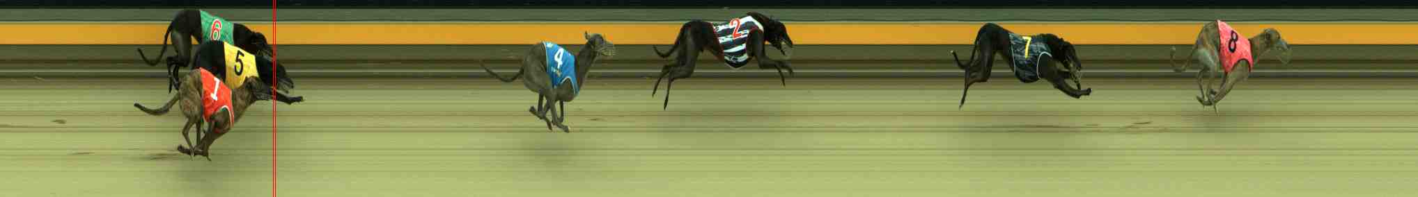 Race result finish photo